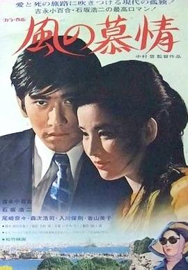 风之恋情封面图