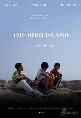 鸟岛封面图