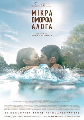 房间里的客人封面图