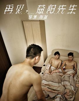 再见，益阳先生封面图