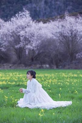 李子柒古香古食封面图