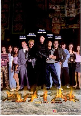 湾仔12妹封面图