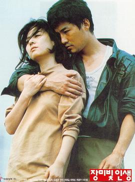 玫瑰色人生封面图