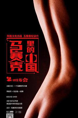 马赛克里的中国封面图