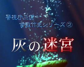 灰色迷宫封面图