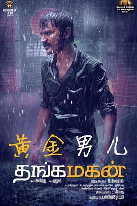 黄金男儿封面图