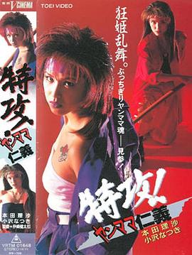 特攻! ヤンママ仁義封面图