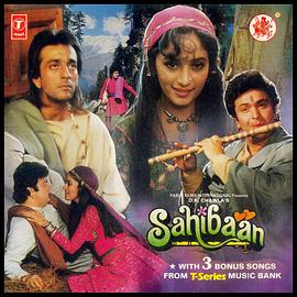 笛声里的爱封面图