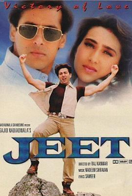 最后的胜利封面图