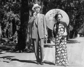 蜜月快车封面图