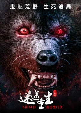 迷途重生封面图