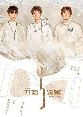 TFBOYS五周年演唱会封面图