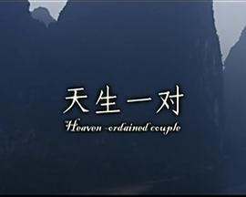 天生一对封面图