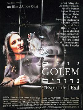 寻找格尔木封面图