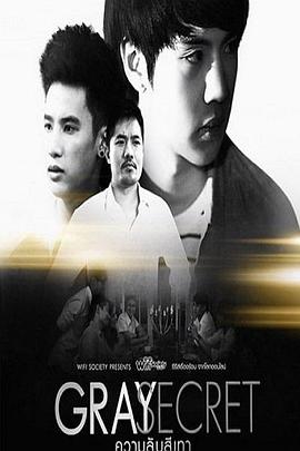 Wifi时代之灰色秘密封面图