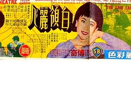 白领丽人封面图