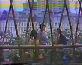 午夜留香封面图