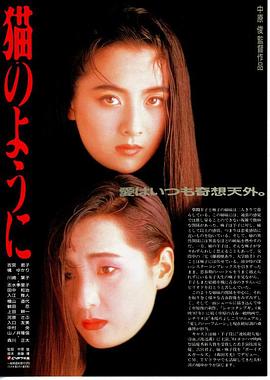 像猫一样的生活封面图