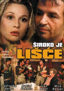 宽广的阔叶林封面图