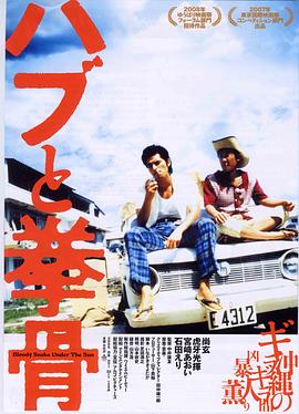 太阳下的血蛇封面图