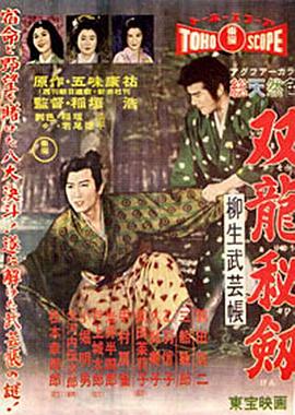 柳生武艺帐：双龙秘剑封面图