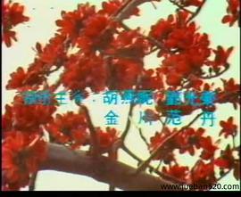 偷情世界封面图