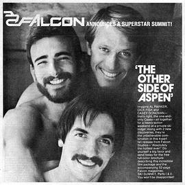 多面阿斯彭封面图