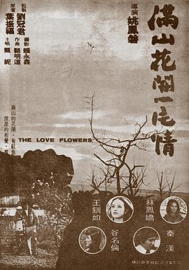 满山花开一片情封面图