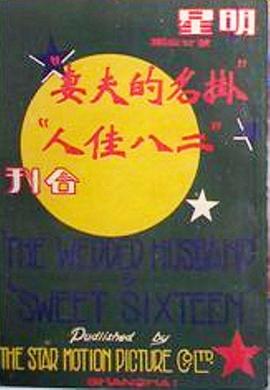 二八佳人封面图