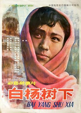白杨树下封面图
