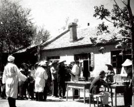 预防鼠疫封面图