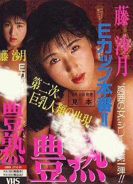 Ｅカップ本番 ＩＩ 豊熱封面图