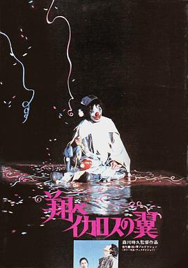 翼神飞翔封面图