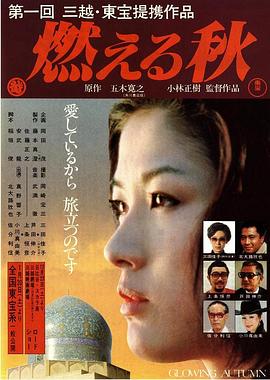 燃烧的秋天封面图