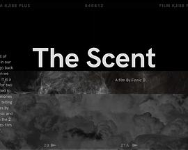 气味记忆封面图