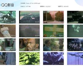 Faces of War封面图