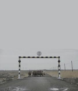 黑色海洋封面图