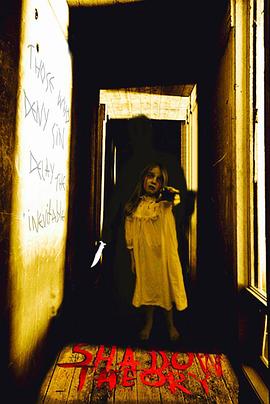 Shadow Theory封面图