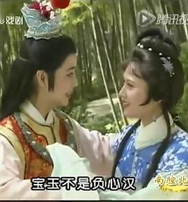 宝黛圆梦封面图