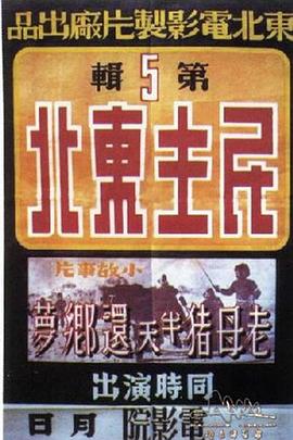 民主东北封面图