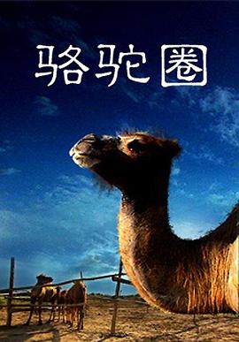 骆驼圈封面图