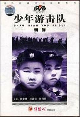 少年游击队封面图