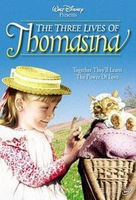 猫咪三世情封面图