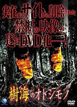 树海的遗失物封面图