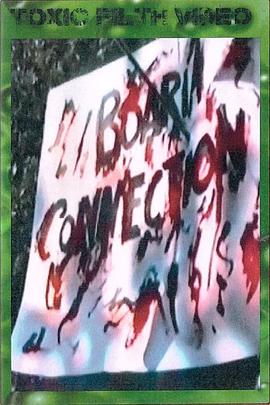 Boaria Connection封面图