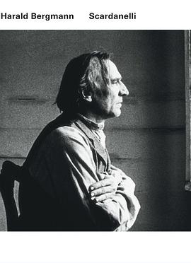 斯卡达内利封面图