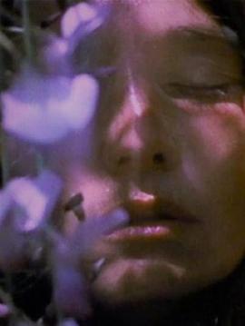 我爱的女人封面图