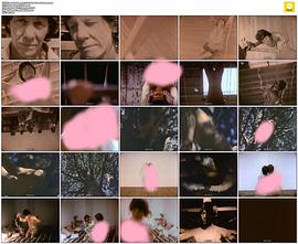 双重能量封面图