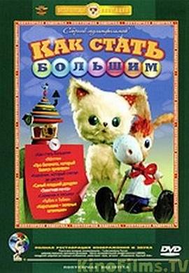 怎样成为大人封面图