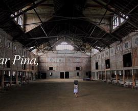 亲爱的皮娜封面图